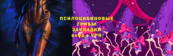 метадон Магас