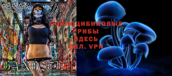 прущий лед Лагань