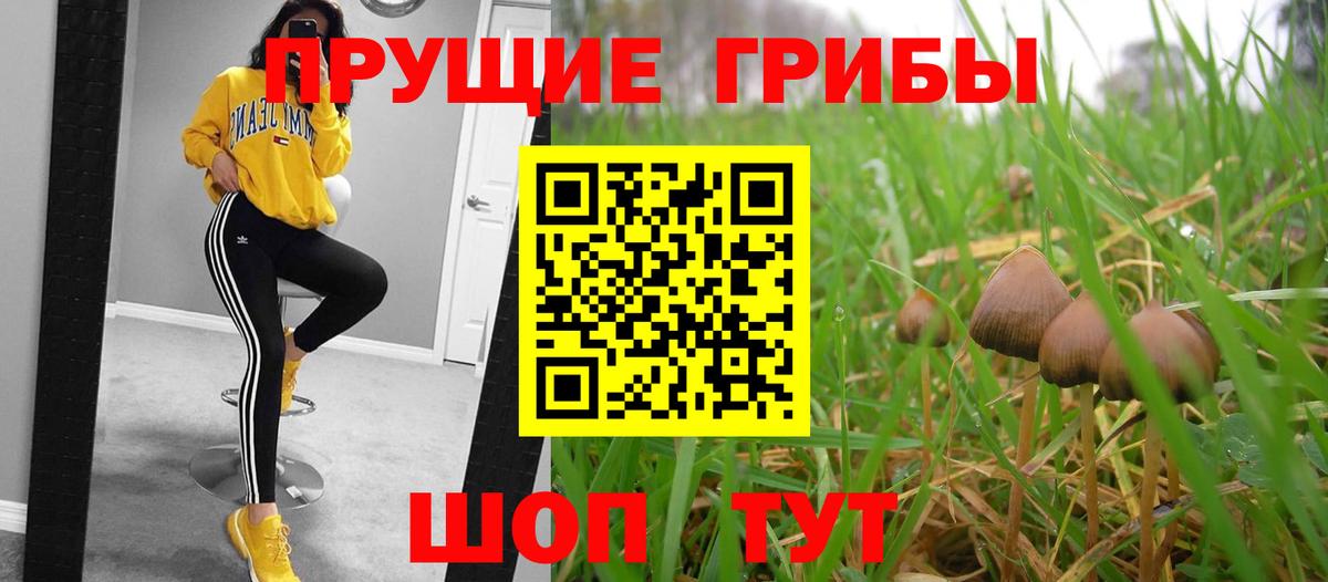 Мелеуз  Галлюциногенные грибы Cubensis  Галлюциногенные грибы Psilocybe  Вход с VPN 